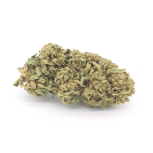 orange bud cannabis light